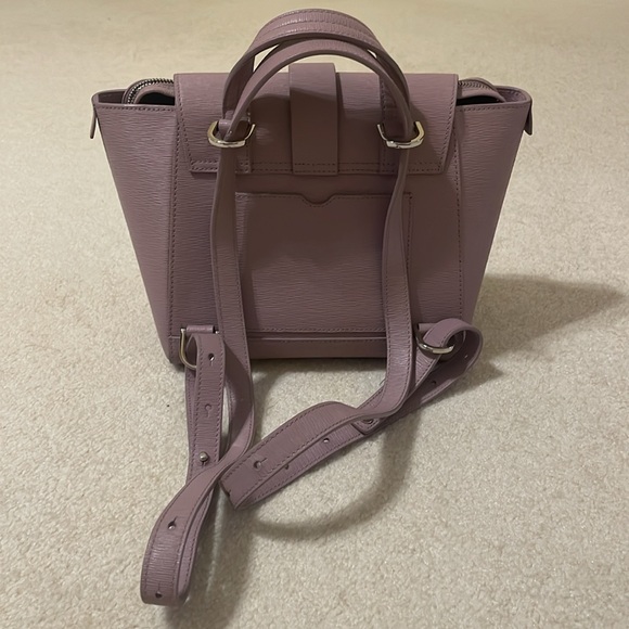 Mini maestra lavender mimosa - Picture 2 of 11